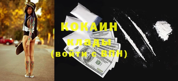 шишки Алзамай