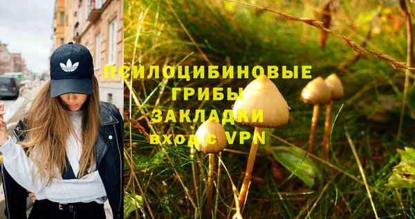 шишки Алзамай