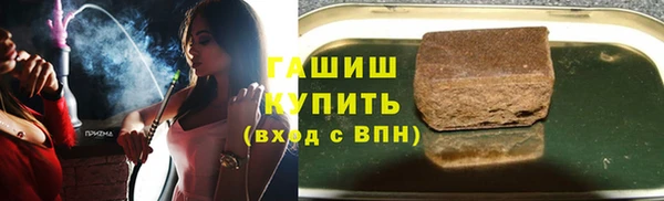 гашик Алексин