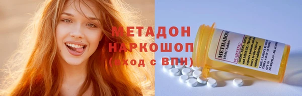 гашик Алексин