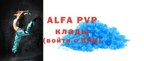 гашик Алексин