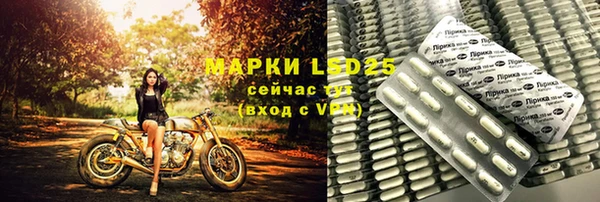 шишки Алзамай