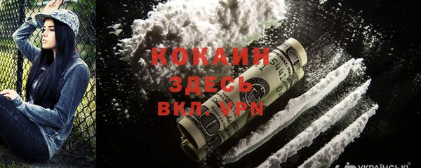 гашик Алексеевка