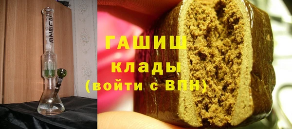 гашик Алексин