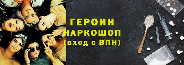 гашик Алексин