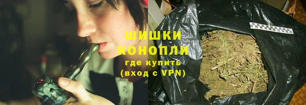 гашик Алексин
