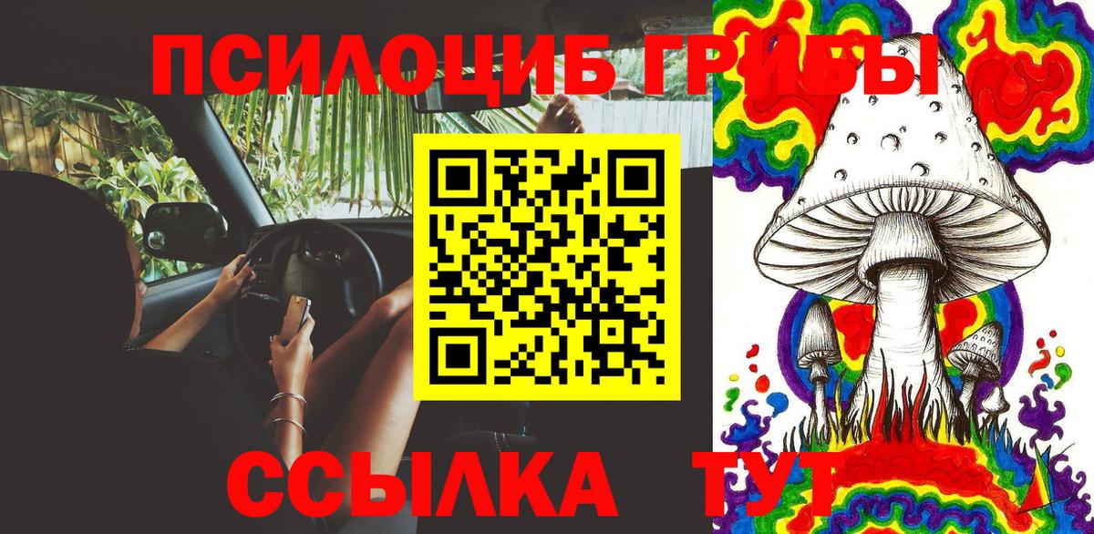Псилоцибиновые грибы прущие грибы Губкин